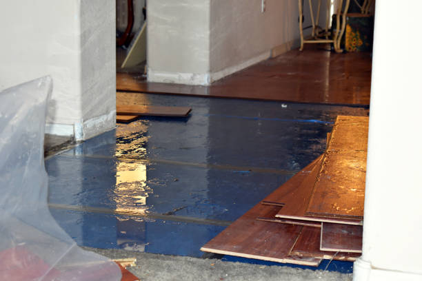 Professional Flood Damage Repair technician working in Kosse, TX